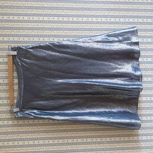 Banana Republic Silk Metallic Silver Skirt NWT 0